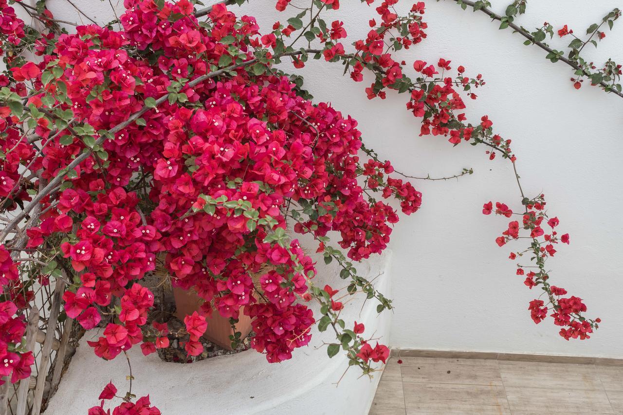 Depis Suites Naxos City Ngoại thất bức ảnh